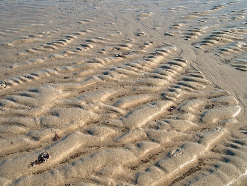 Culinary Ingredients